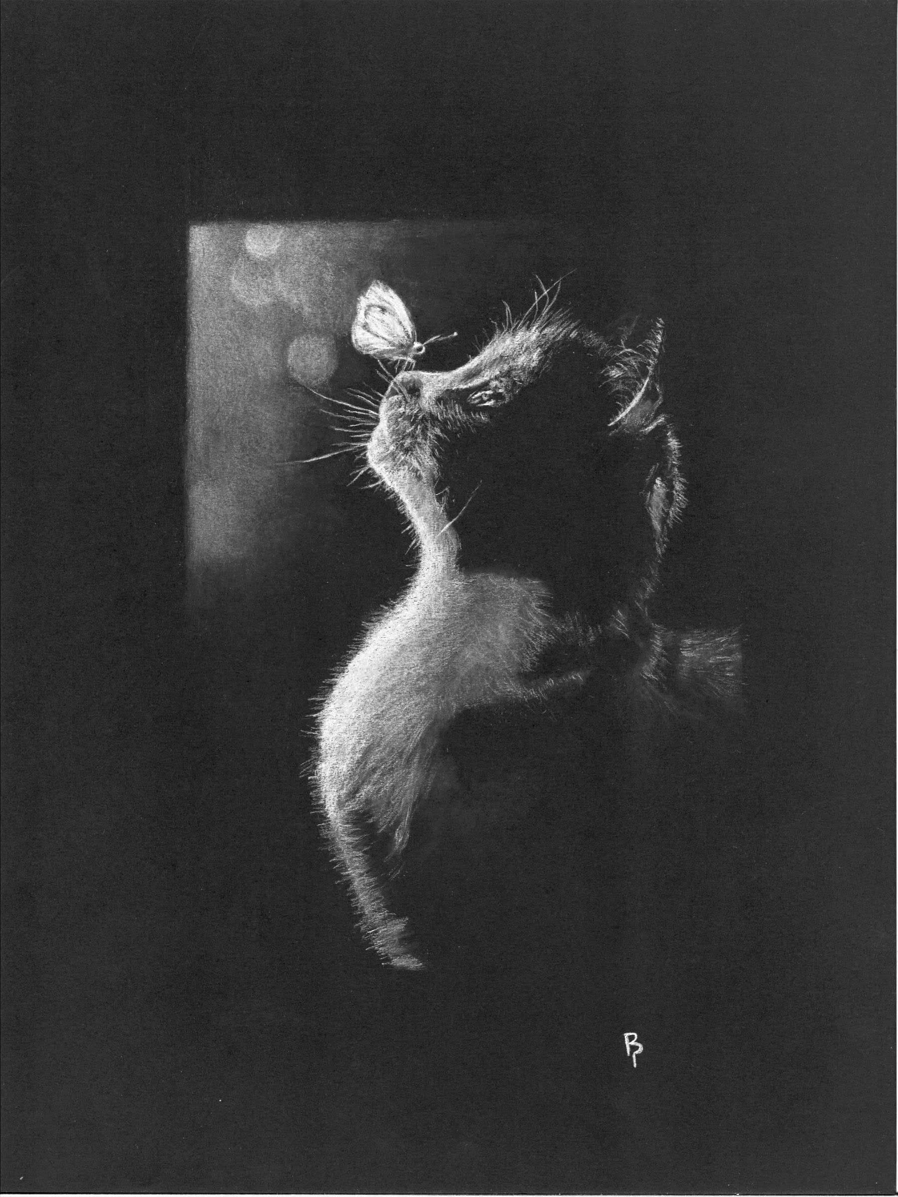 Cat and Butterfly — White charcoal on black card stock by Brett Parker