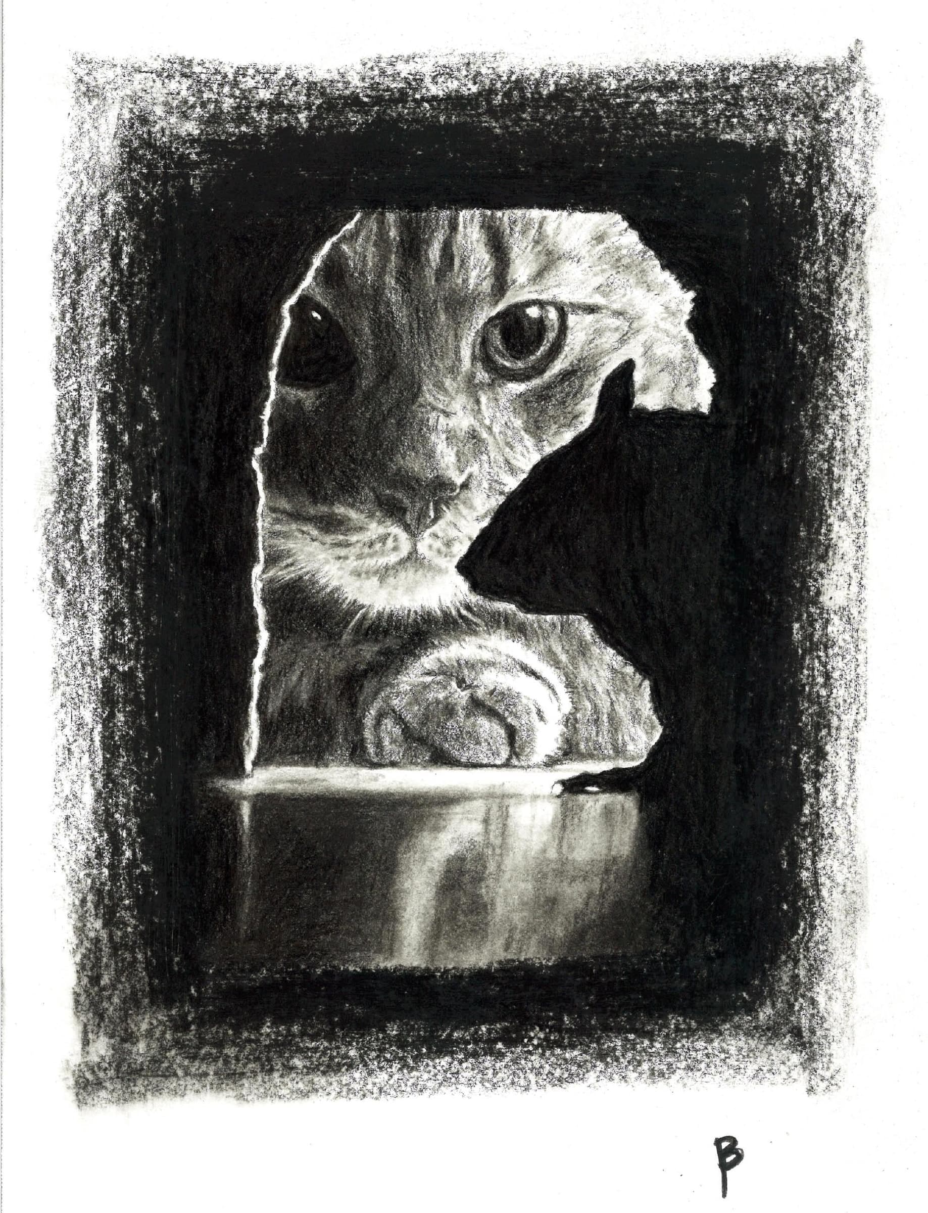 Cat and Mouse — Black charcoal on white paper by Brett Parker