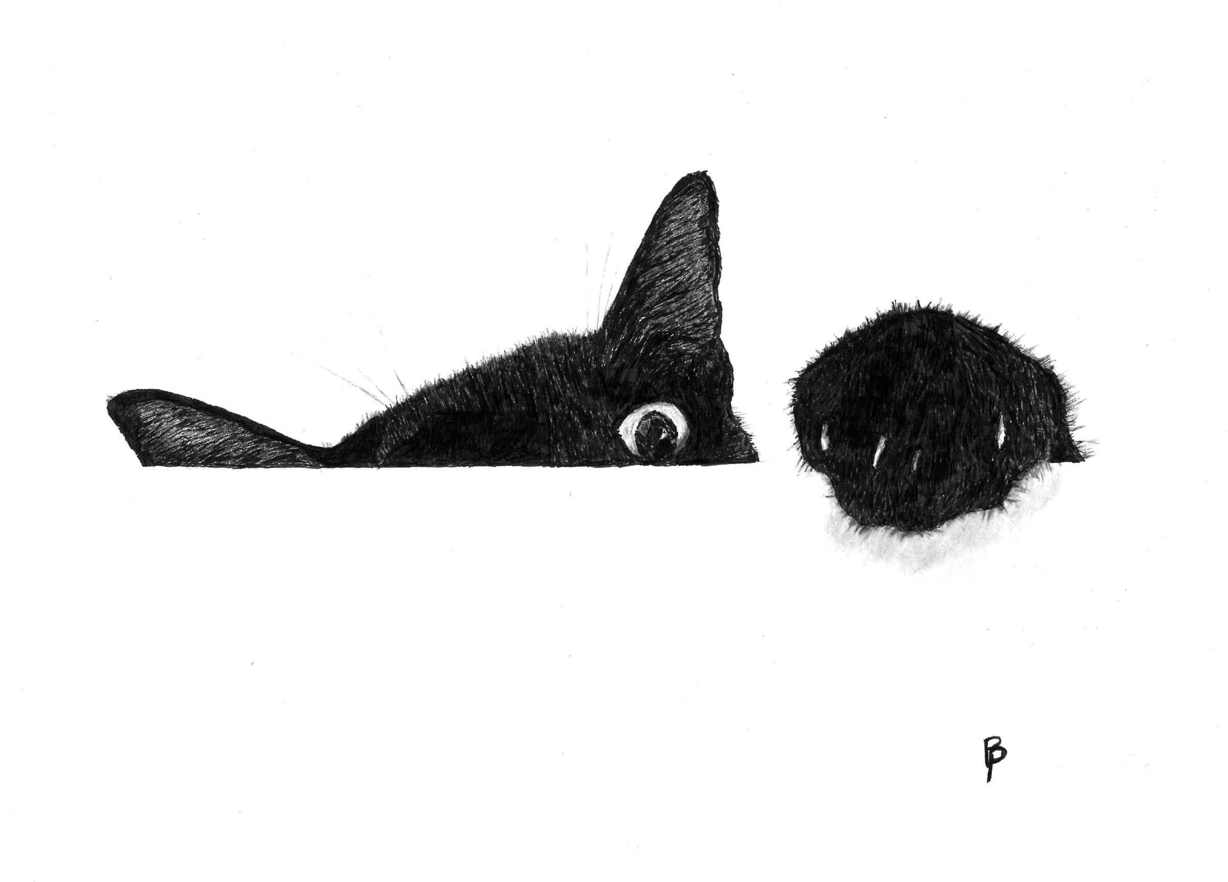 Cat Reaching — Black ink on white paper by Brett Parker