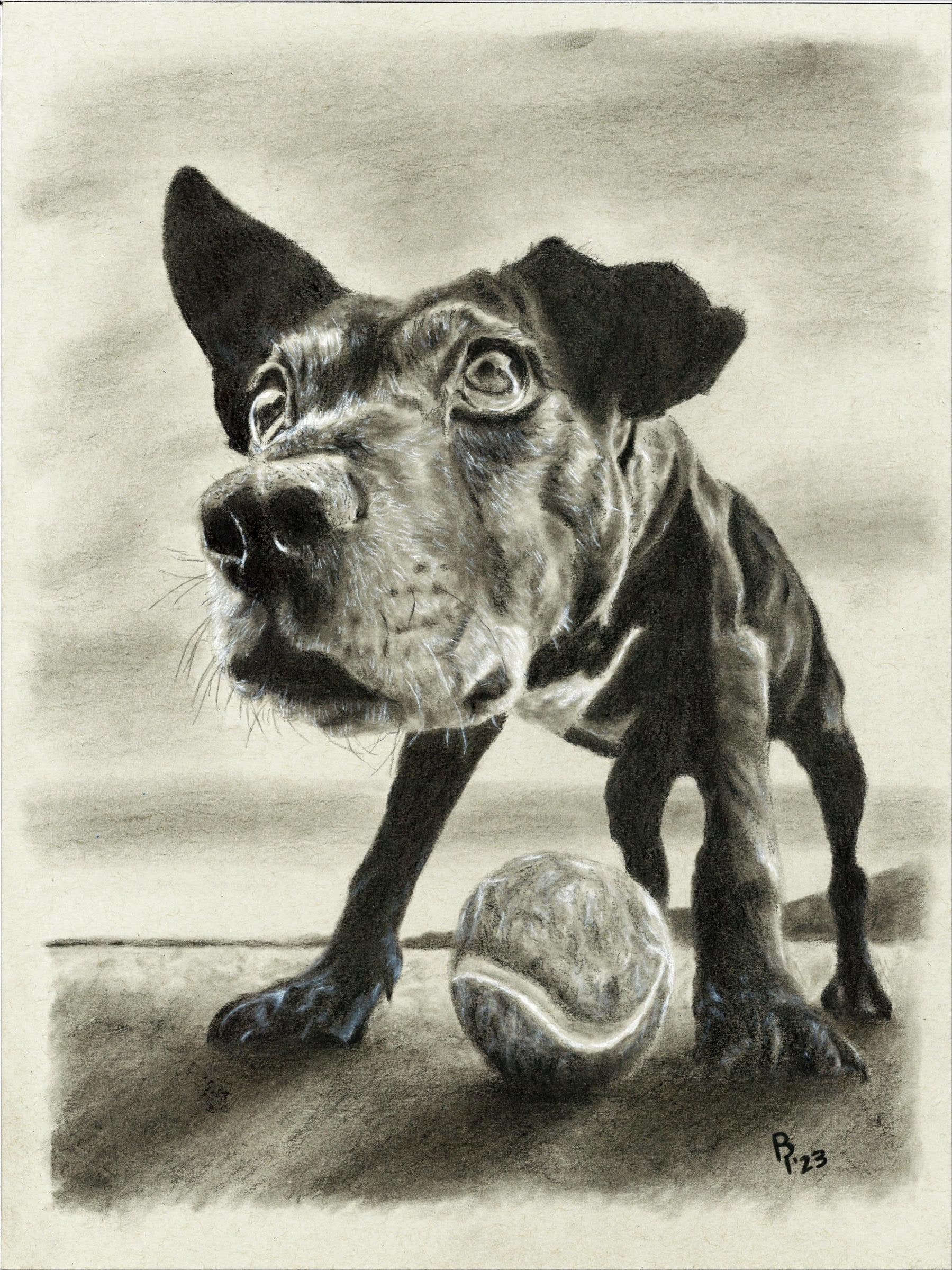 Come Get It — Black and white charcoal on grey paper by Brett Parker