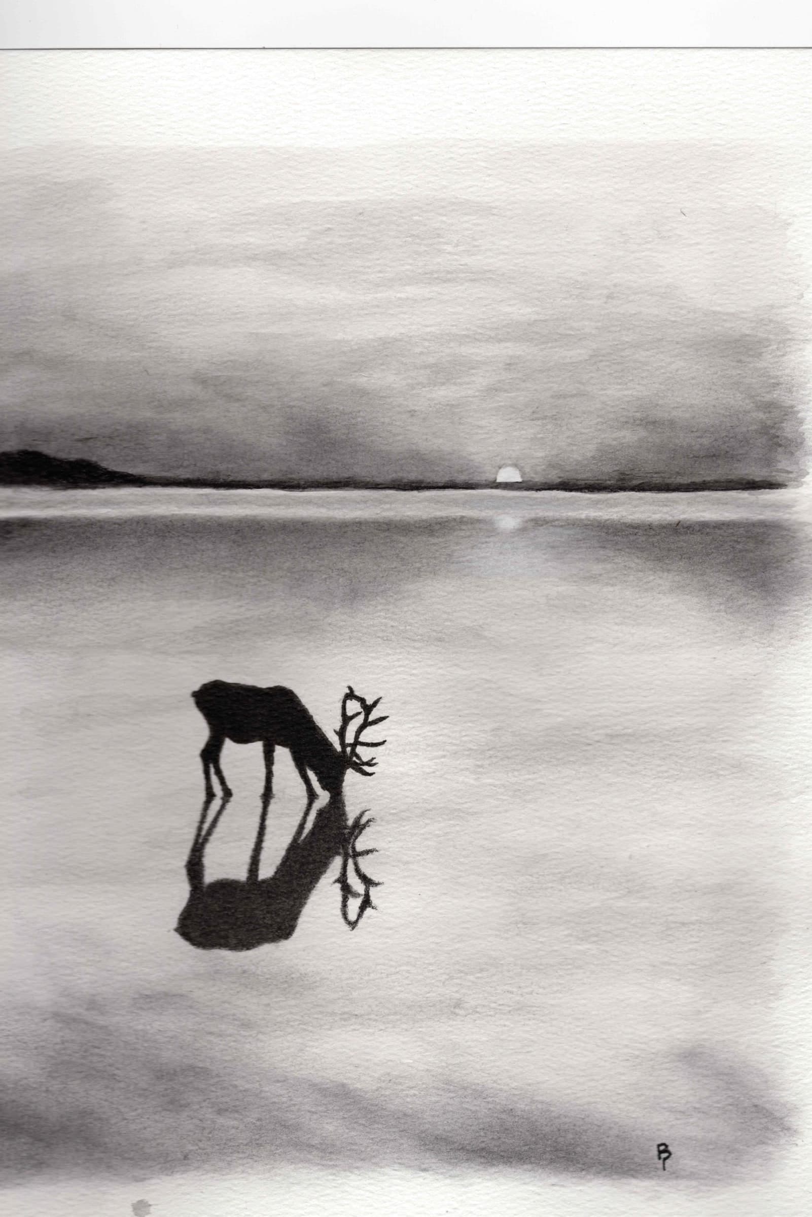 Elk Sunset — Wet charcoal on white watercolor paper by Brett Parker