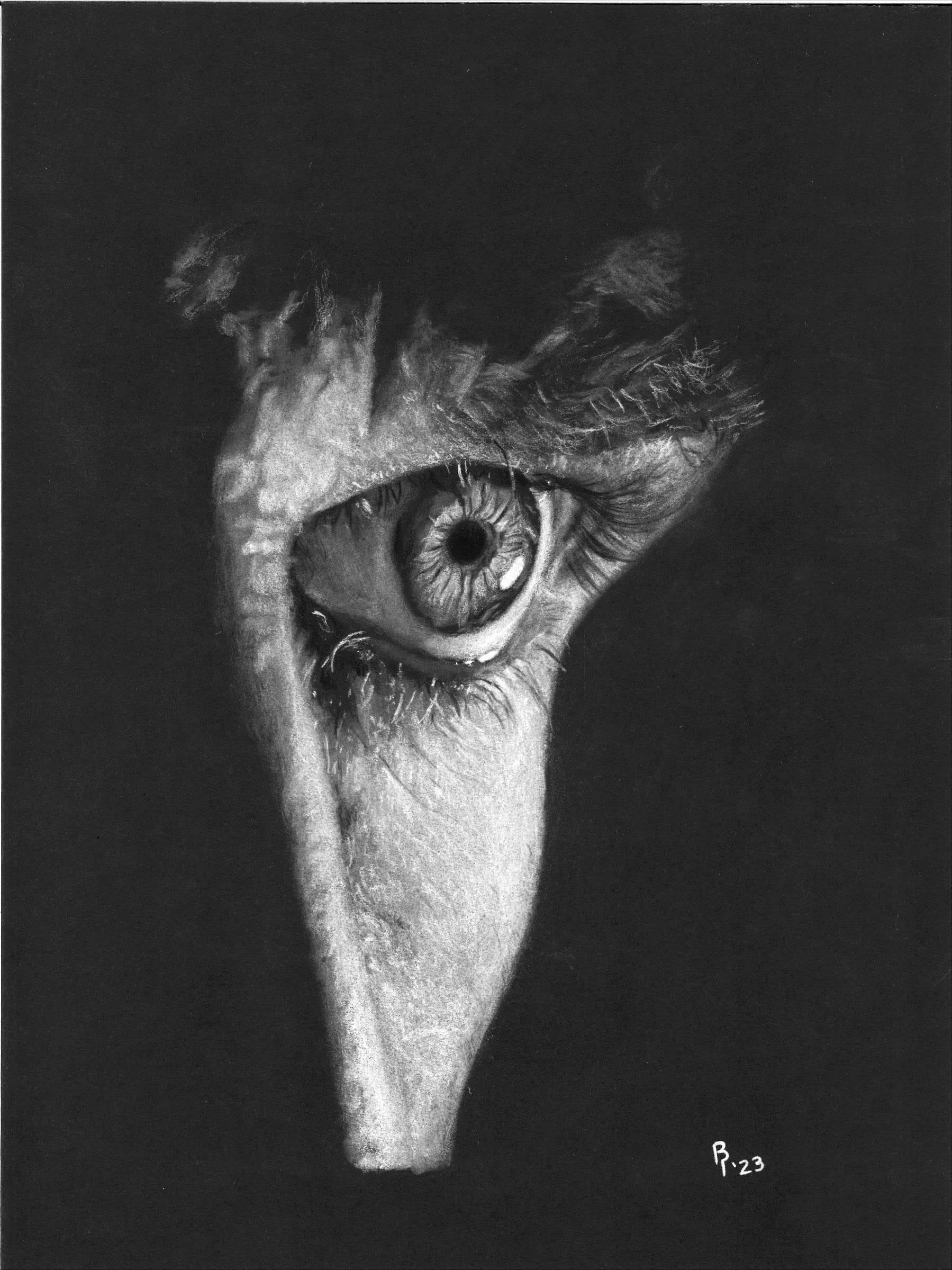 Eye Detail — White charcoal on black card stock by Brett Parker