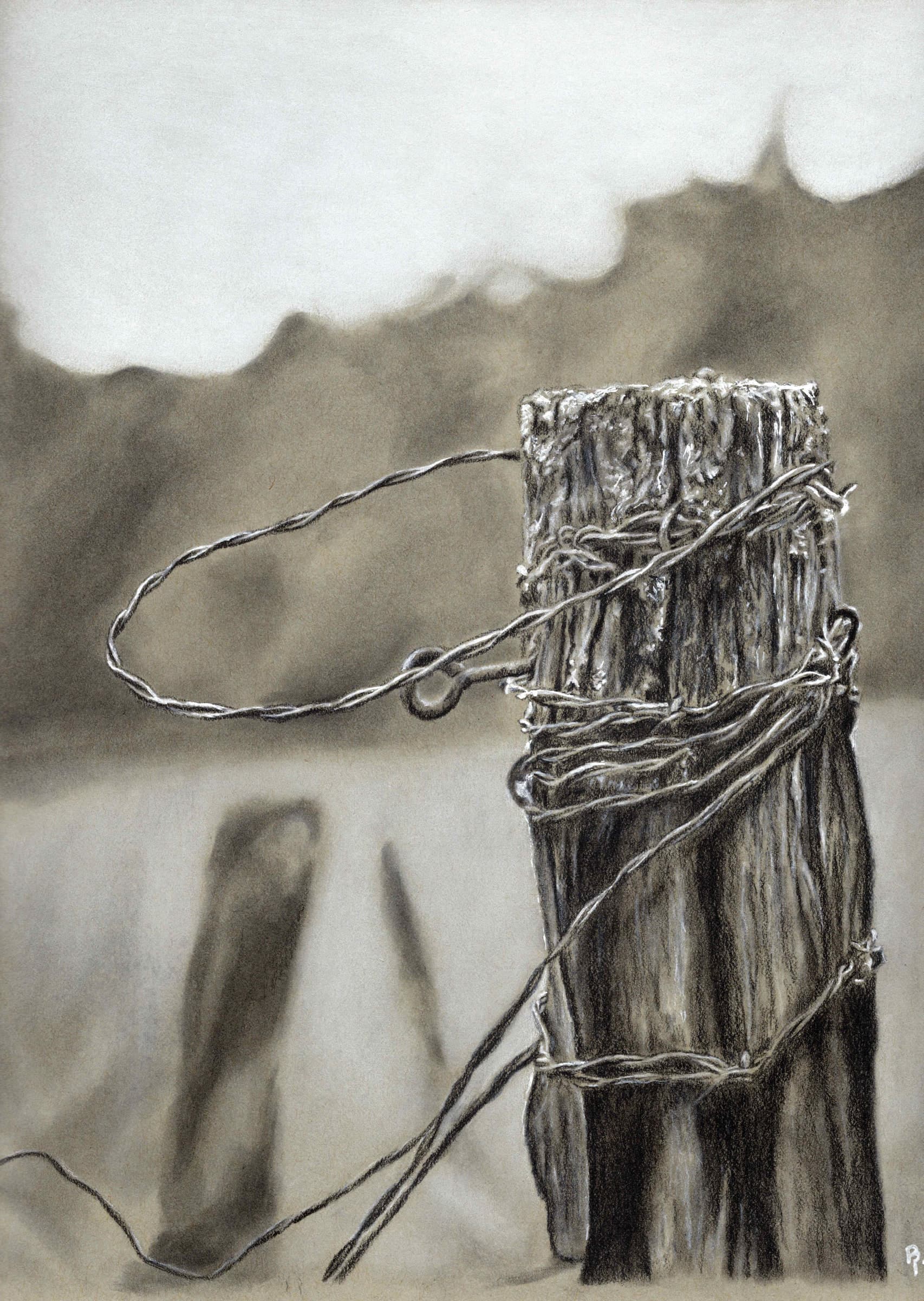 Fence Post — Black and white charcoal on white paper by Brett Parker