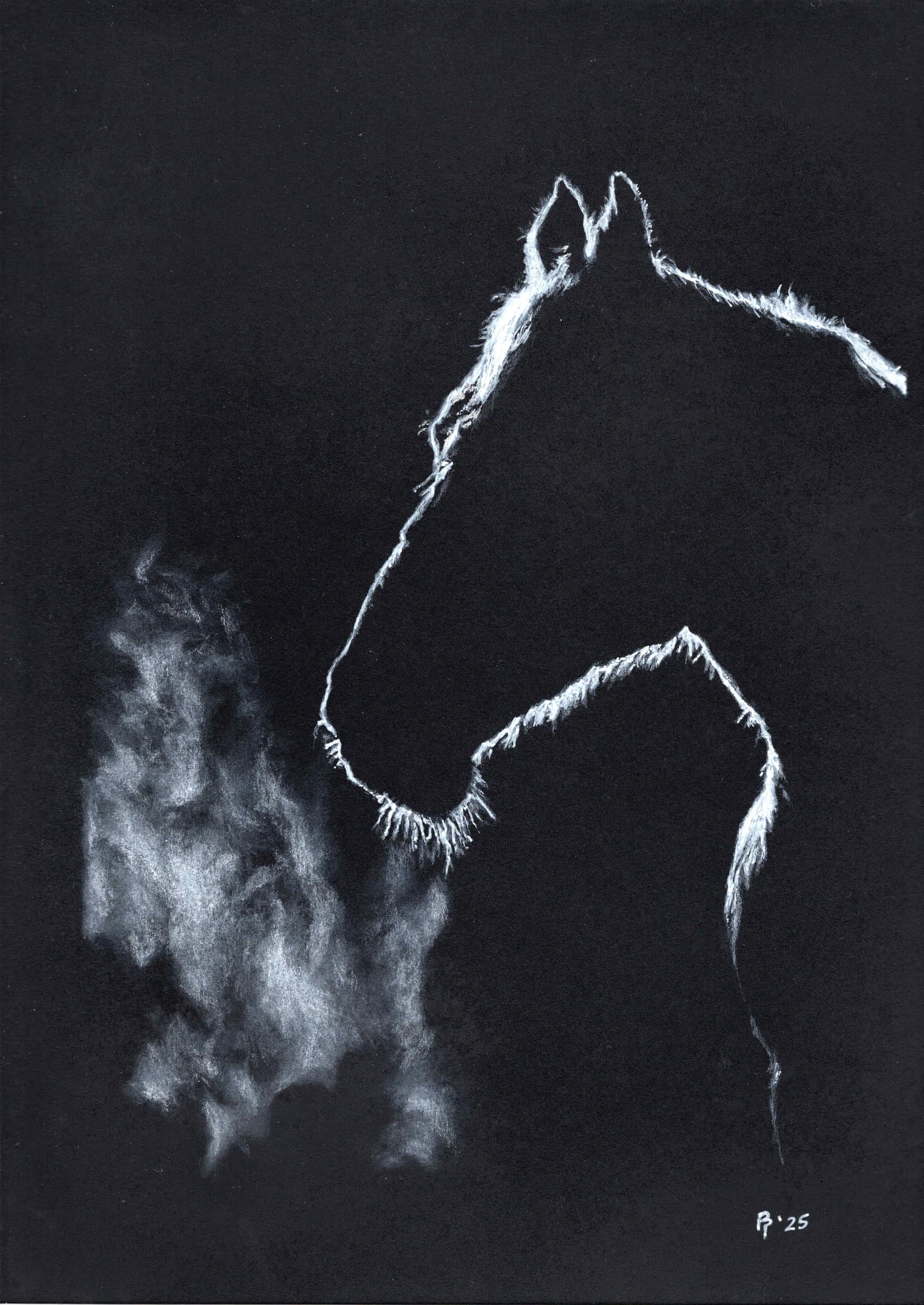 Horse Breath — White charcoal on black card stock by Brett Parker