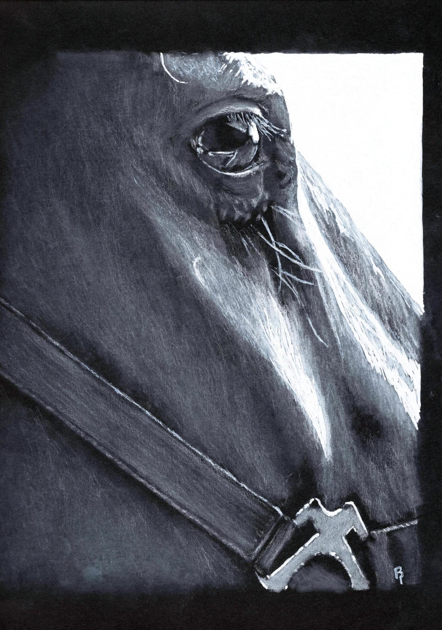 Horse Closeup — White charcoal & white ink on black card stock by Brett Parker