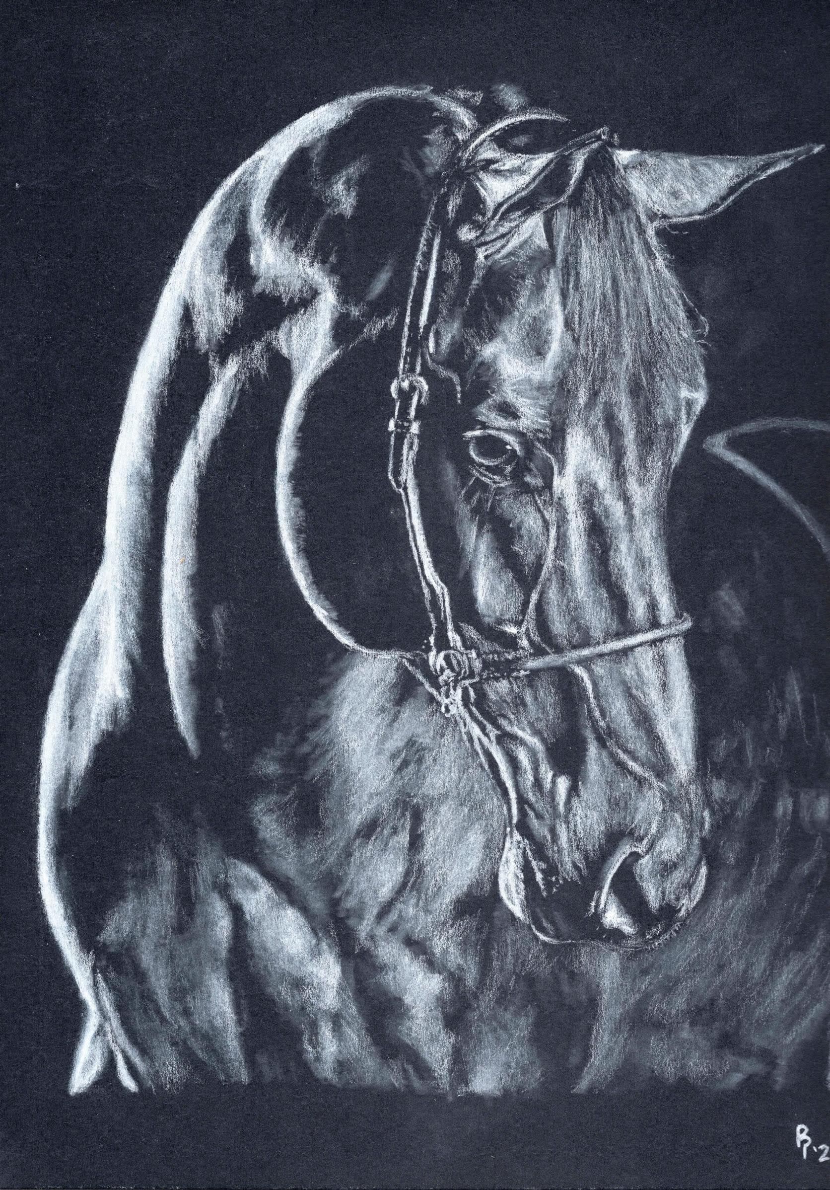 Horse Detail — White charcoal on black card stock by Brett Parker