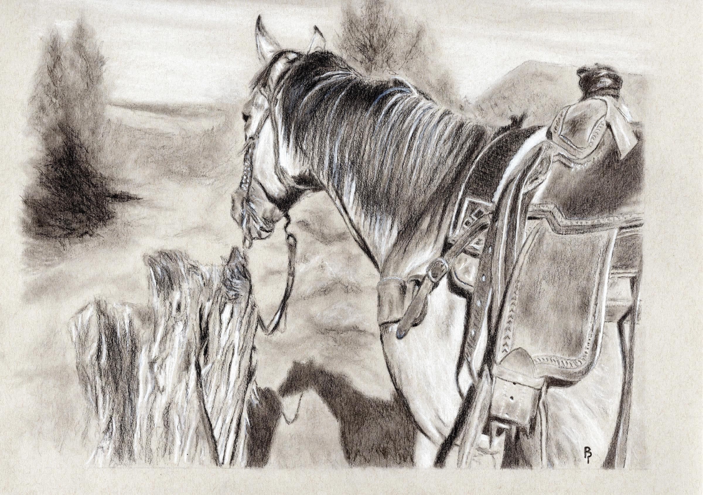 Horse Scene — Black charcoal on white paper by Brett Parker