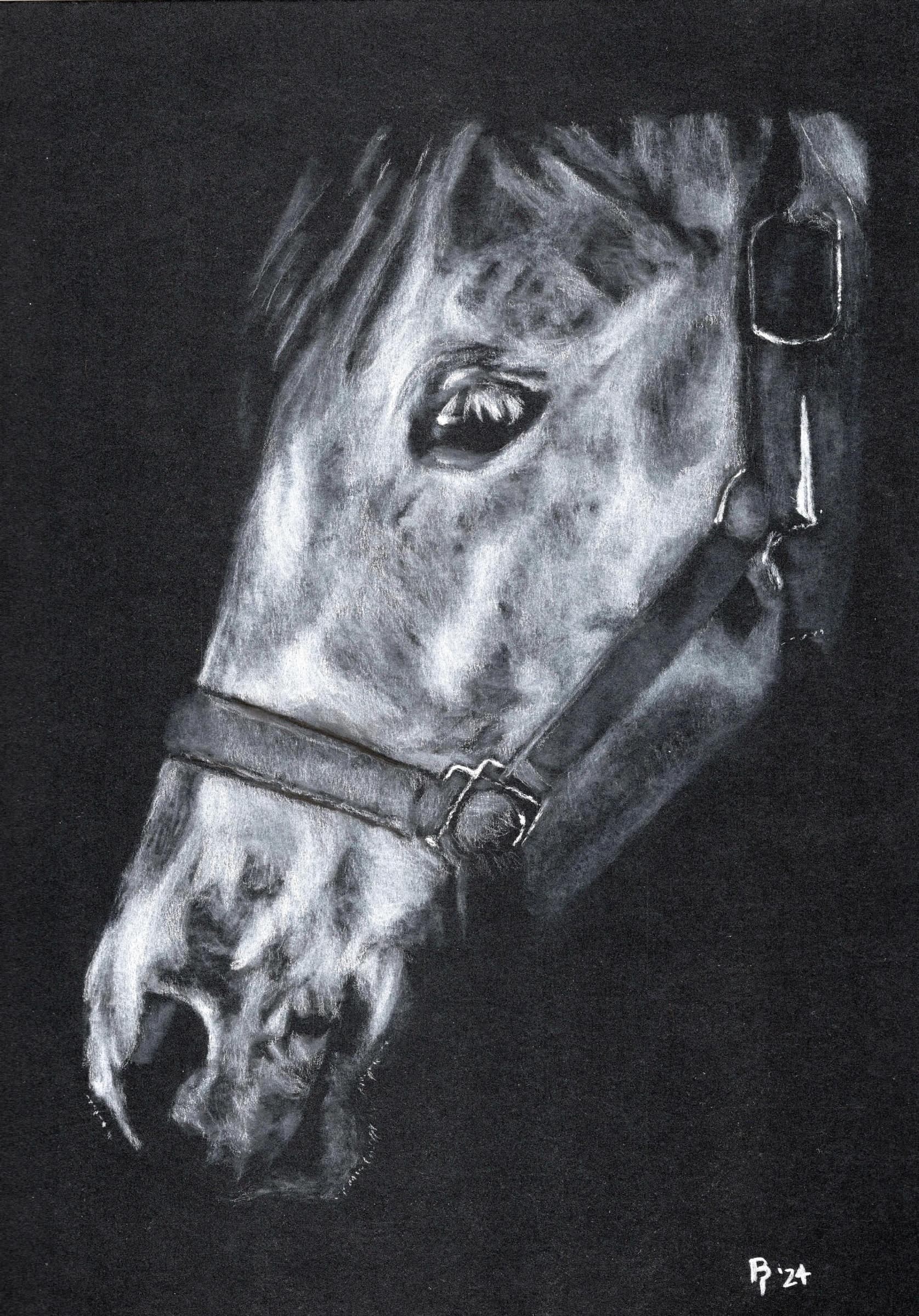 Horse Side Face — White charcoal on black card stock by Brett Parker