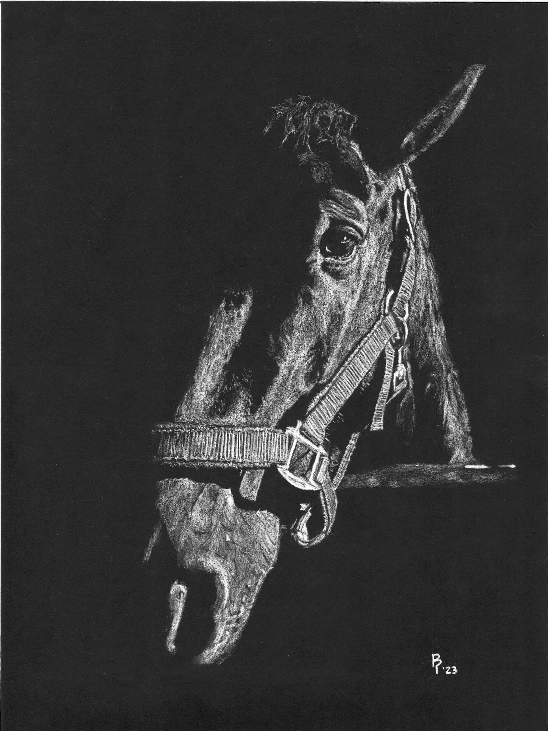 Horse Stall — White charcoal on black card stock by Brett Parker