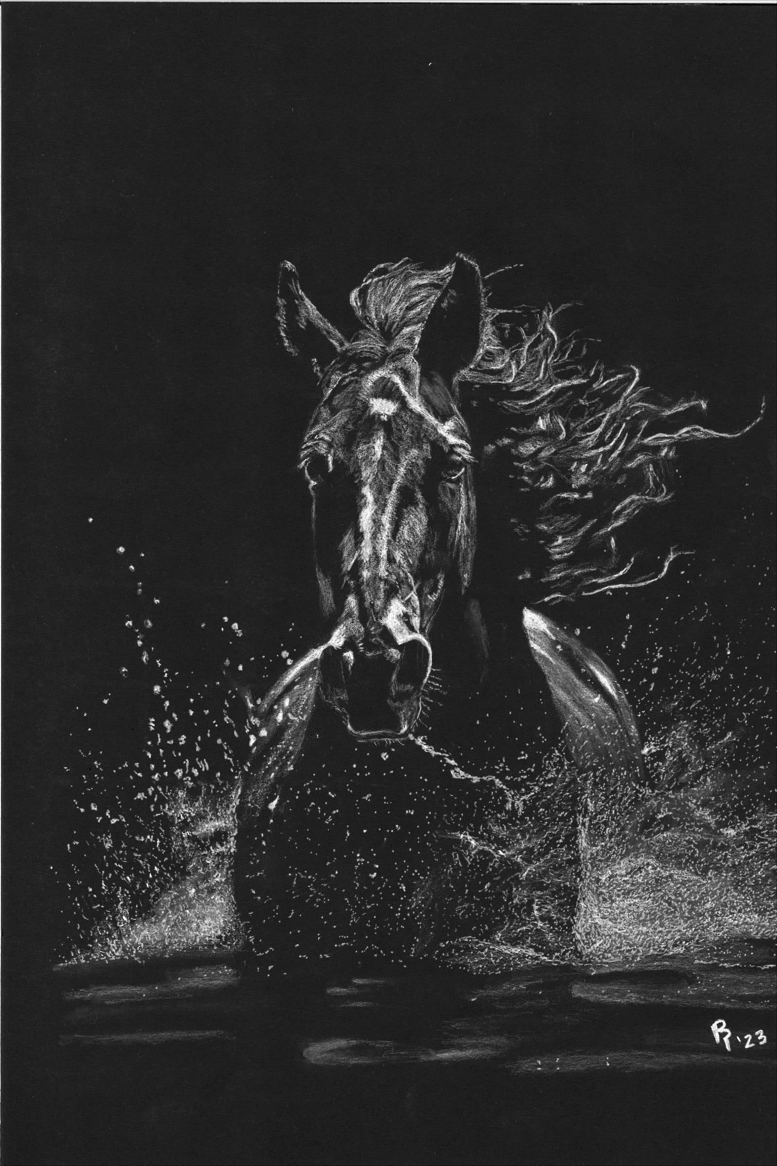 Horse Thru Water — White charcoal on black card stock by Brett Parker