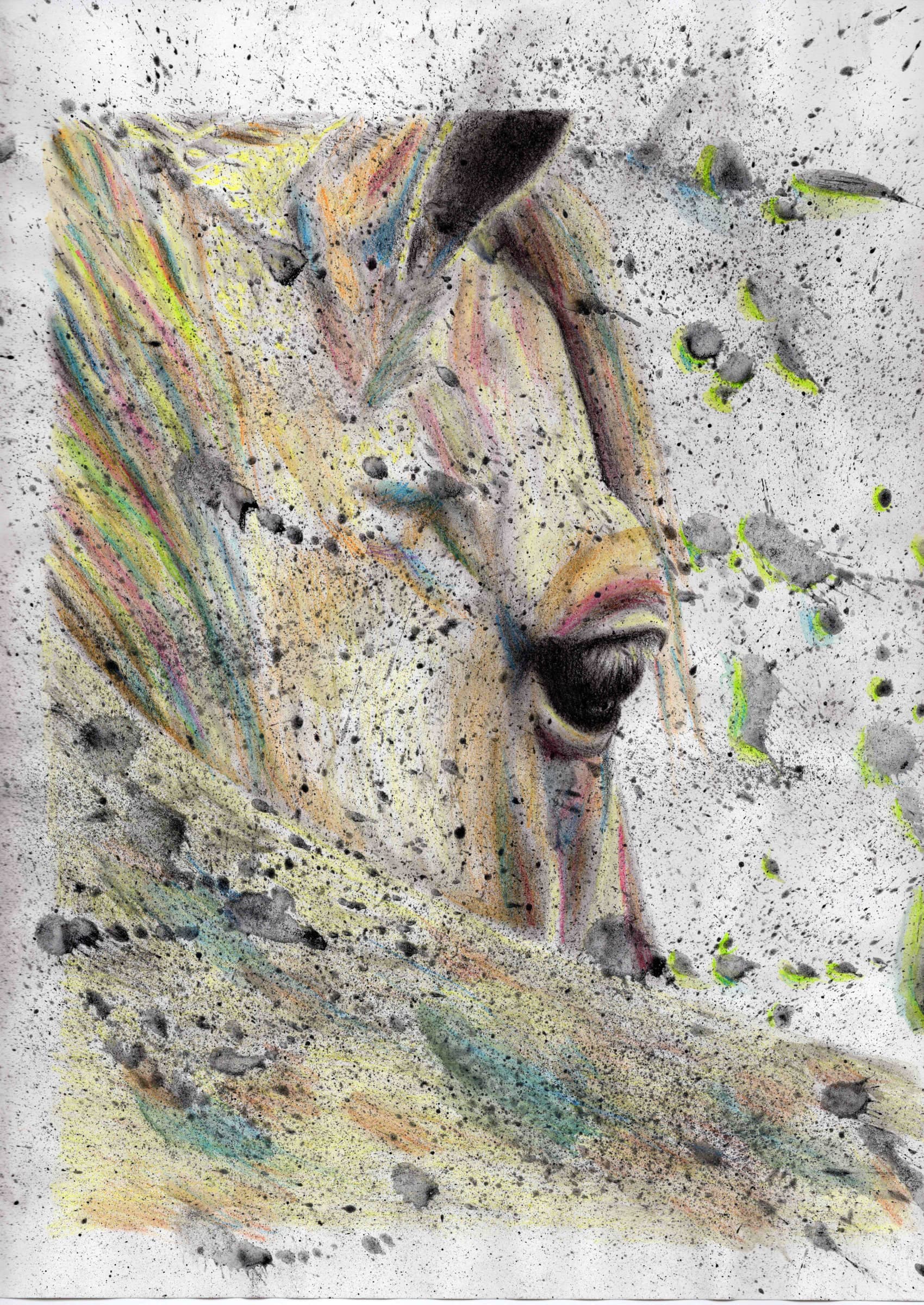 Horse — Black charcoal & watercolor pencil on white paper by Brett Parker