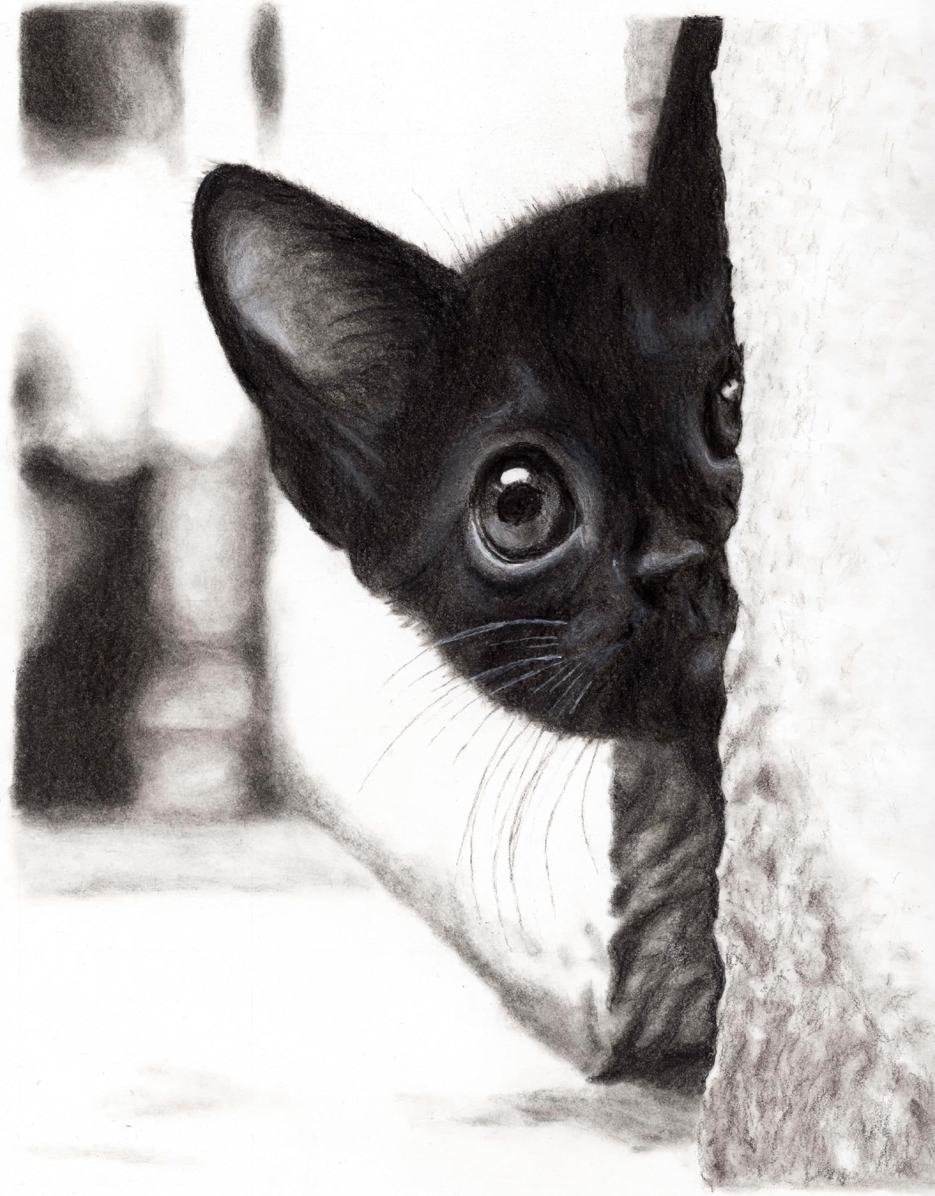 Peekaboo — Black and white charcoal on white paper by Brett Parker
