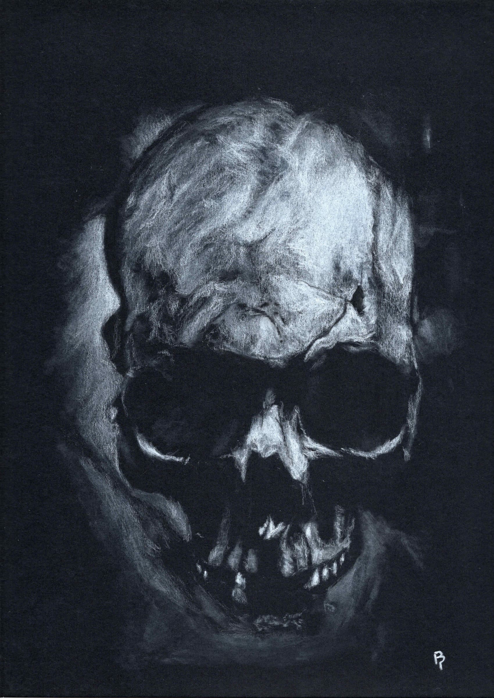 Skull — White charcoal on black card stock by Brett Parker