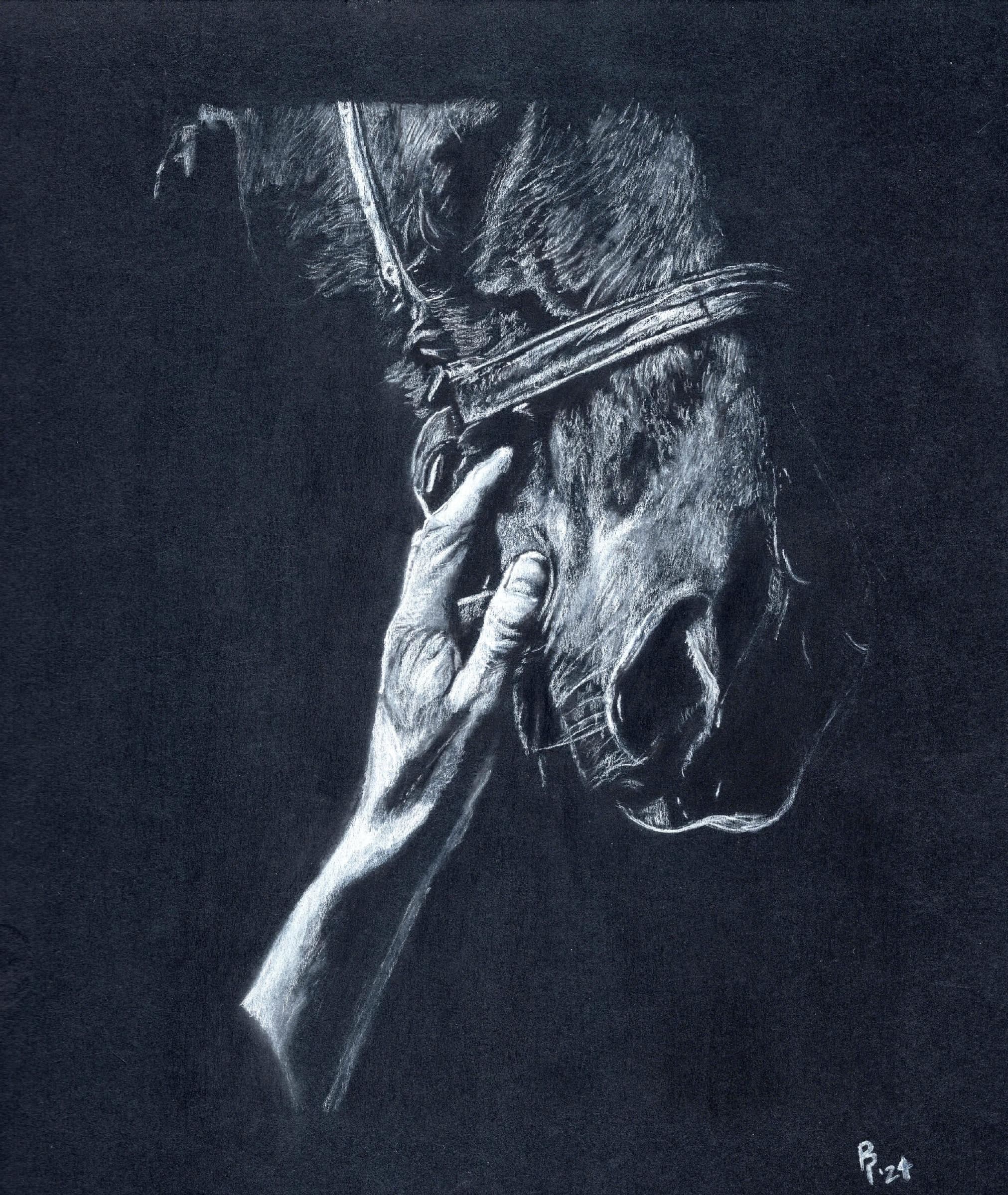 Touch Horse — White charcoal on black card stock by Brett Parker