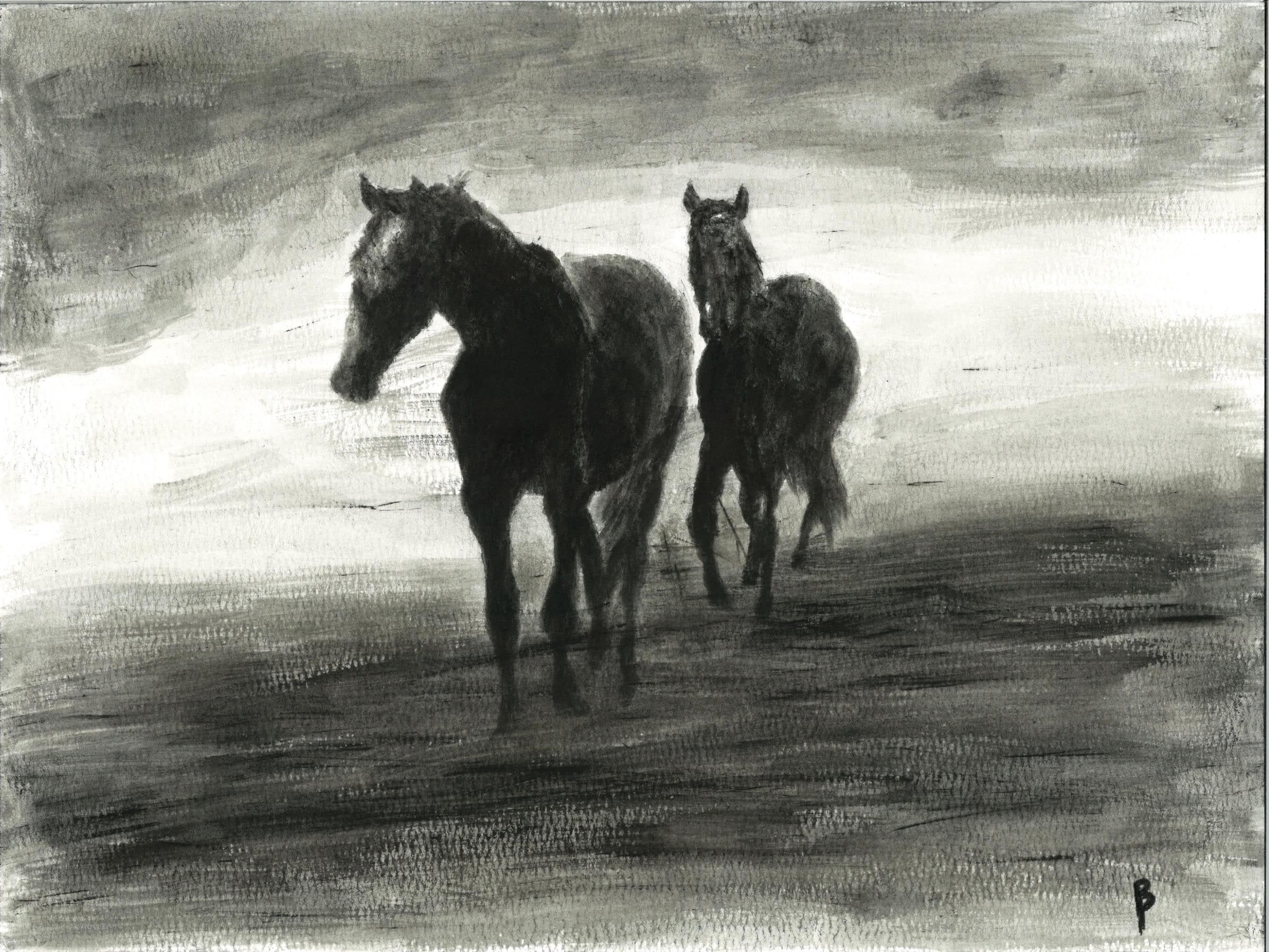 Two Horses — Wet charcoal on white watercolor paper by Brett Parker