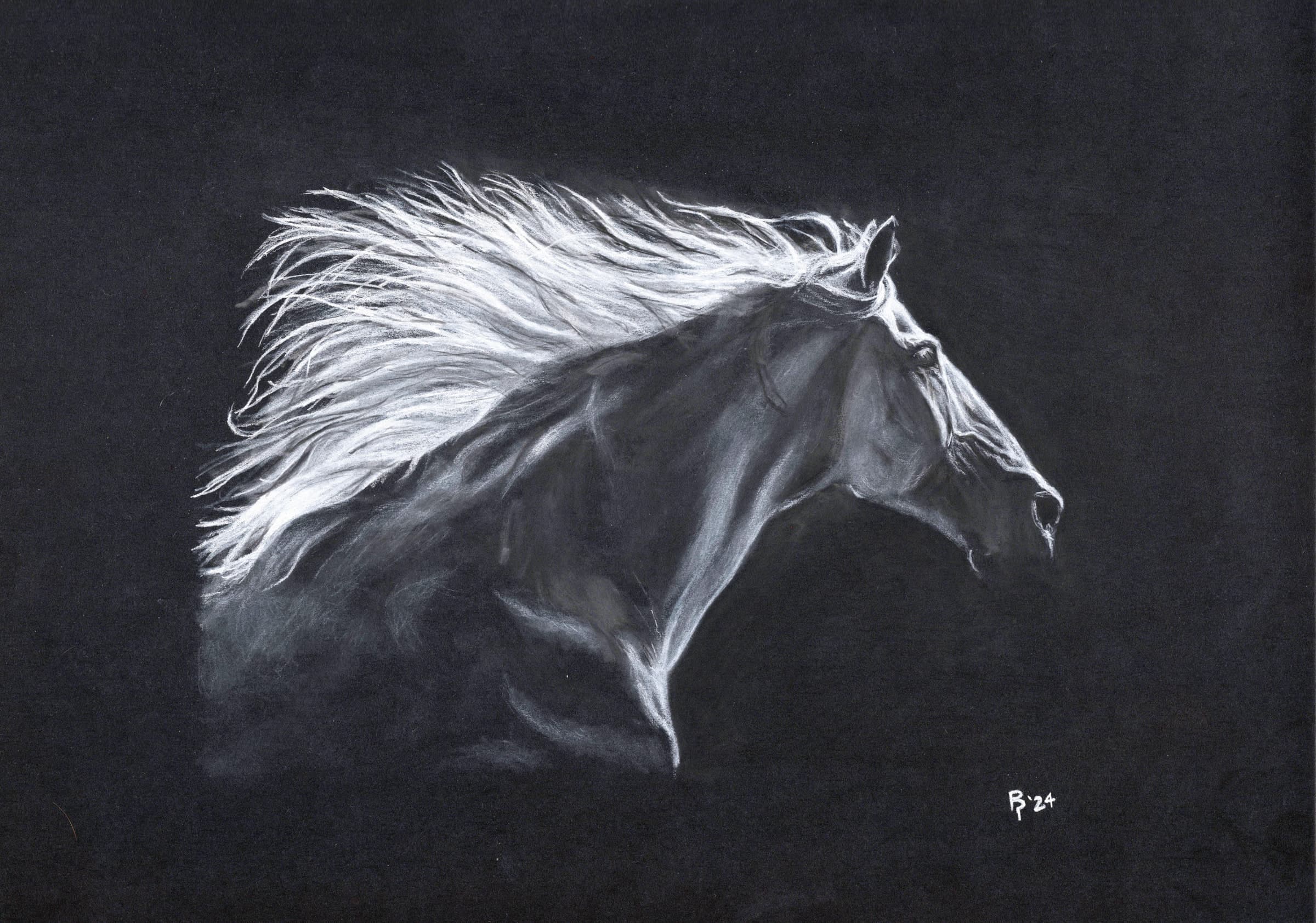 White Horse — White charcoal on black card stock by Brett Parker